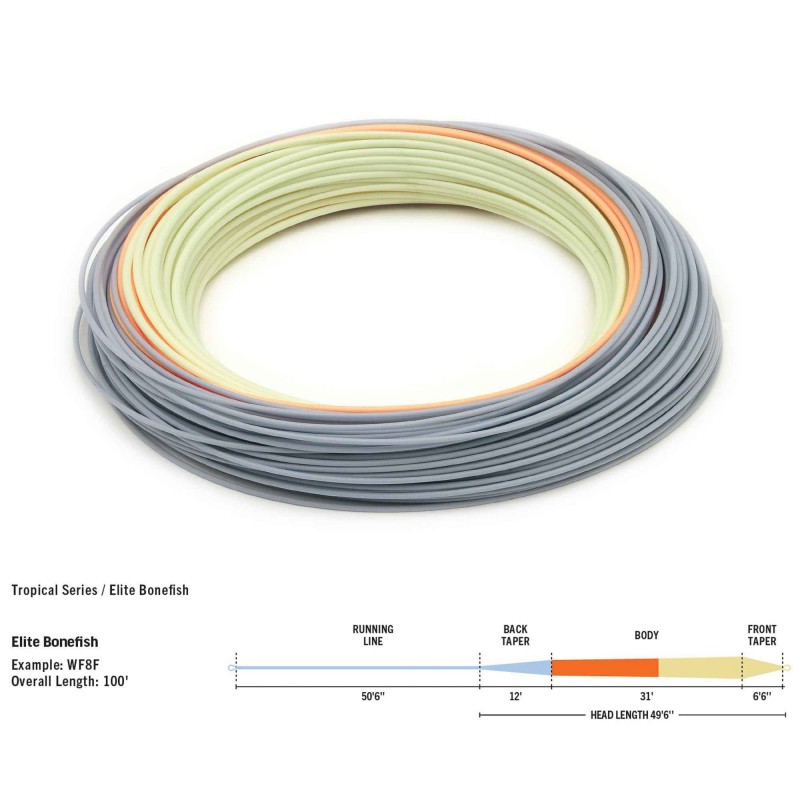 Soie RIO Elite DirectCore Bonefish WF F