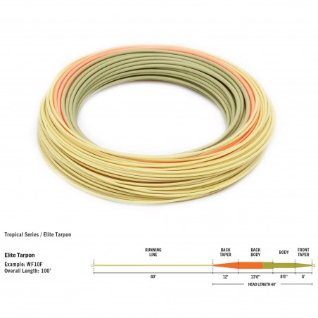 Soie RIO Elite DirectCore Tarpon WF F