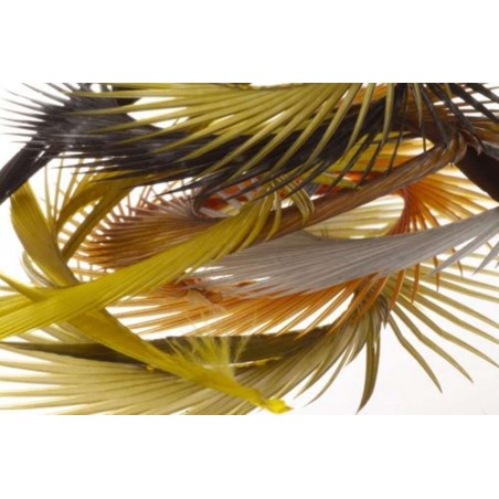 SEMPERFLI Natural Range Goose Biots Mixed Pack