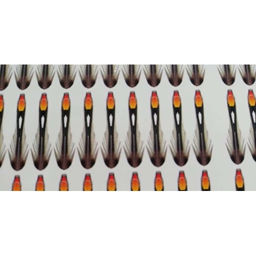 SEMPERFLY Synthetic Jungle Cock Natural 17mm Small