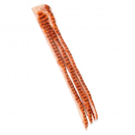 Tiger Barred 5mm Zonkerstrips PIKE MONKEY