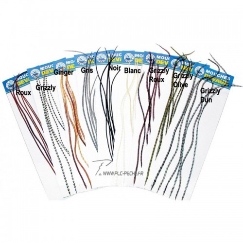 Plumes de coq DEVAUX Lancettes