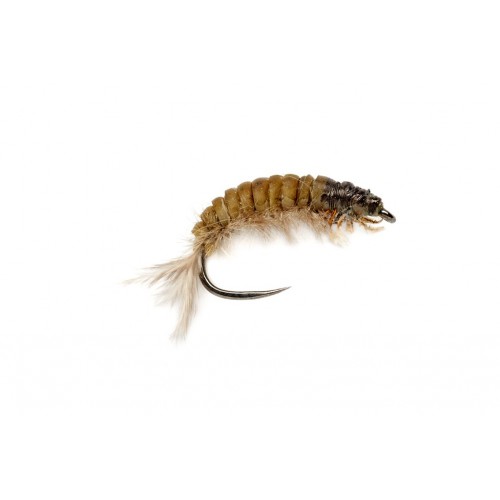 Mouche FULLING MILL OE Hydropsyche Larva V2