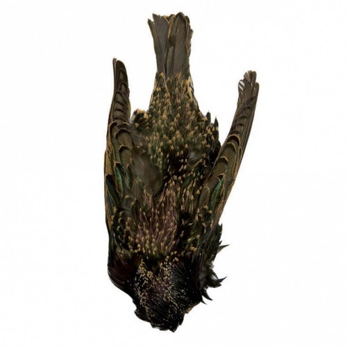 Peau d'étourneau entière