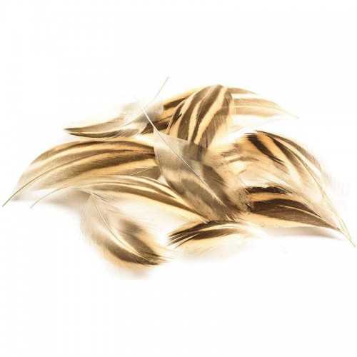 Plumes flanc de canne + Poitrail