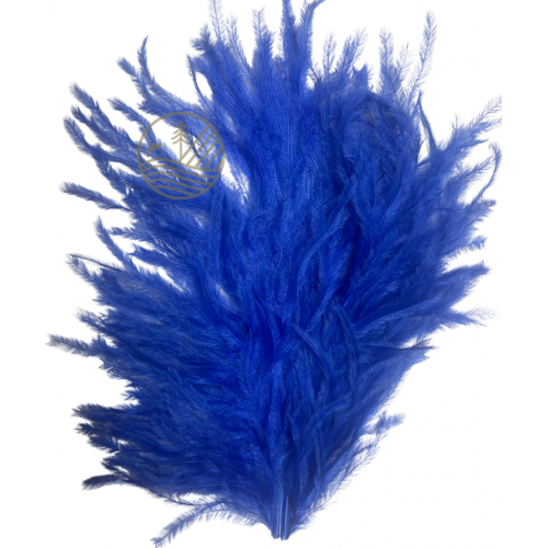 Plume d'autruche Ostrich Plumes FLY SCENE