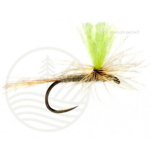 Mouche FULLING MILL Emergente Procter H/V P/dtr B/L S16