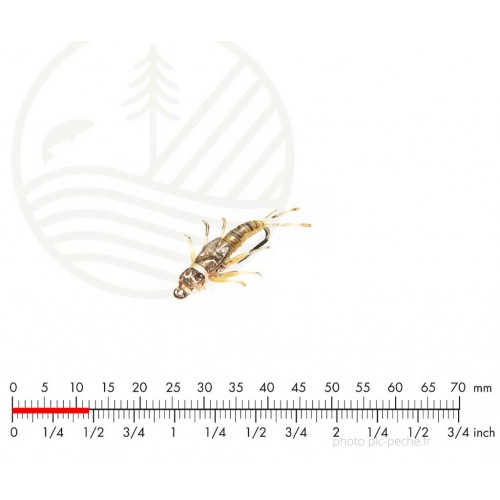 Mouche J:SON Tungstene MayFly Olive Brown H18