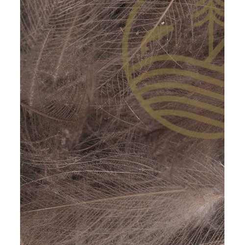 French CDC Premium 3g