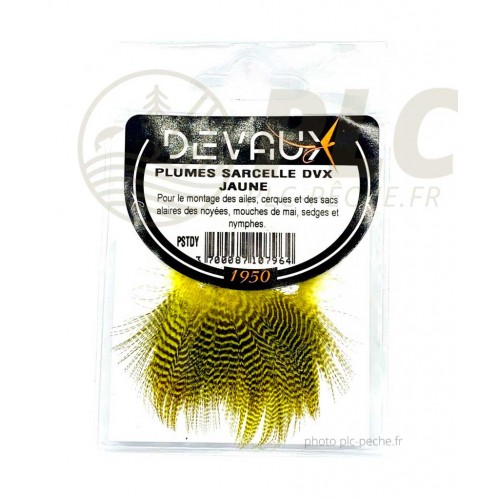 Plumes de Sarcelle DEVAUX