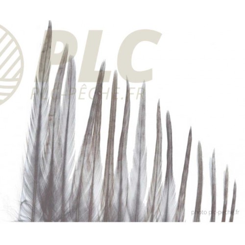 Plumes DEVAUX Hackles Genetic Grizzly