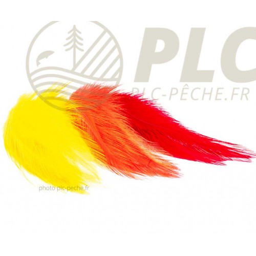 Plumes DEVAUX Streamers