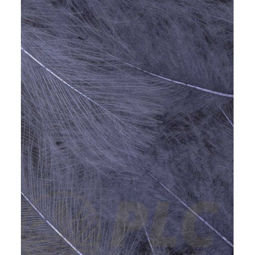 French CDC Jumbo XXL