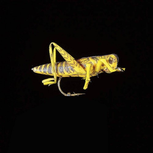 Mouche Sauterelle 22 JMC