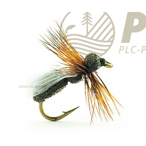 Mouche DEVAUX Terrestre JBF 01