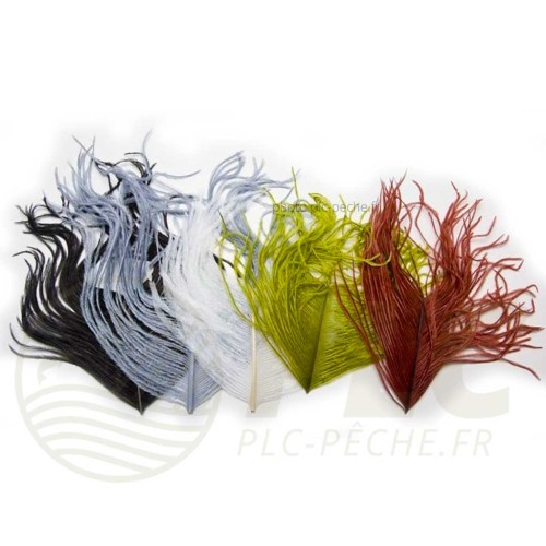 Herl Autruche VENIARD