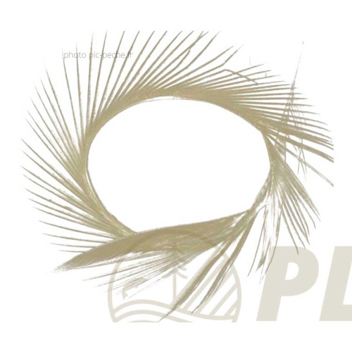 SEMPERFLI Natural Range Goose Biots