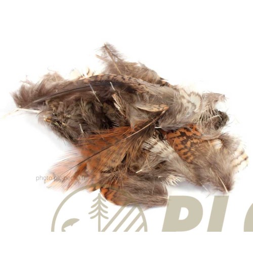 Plumes VENIARD Woodcock Body