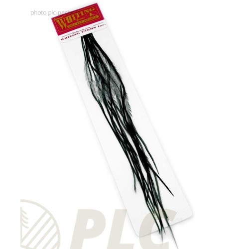 Plumes WHITING FARMS 100'S pour hameçons de 18