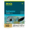Bas de ligne RIO Saltwater 10' (3,00 m)