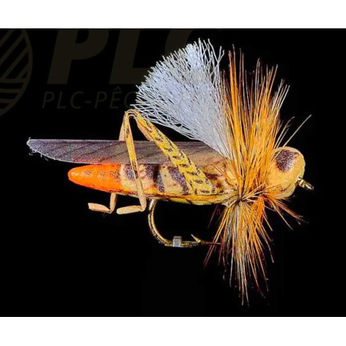 Mouche Sauterelle JMC 29 H10