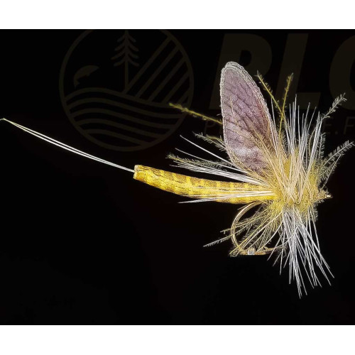 Mouche Sèche JMC Mai 107 H12