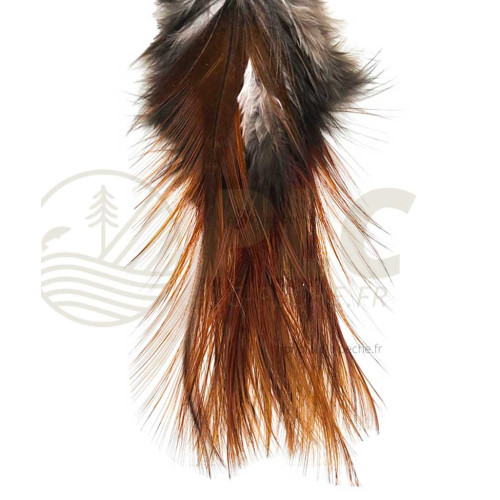 Pelle Pardo Indio Roux DEVAUX