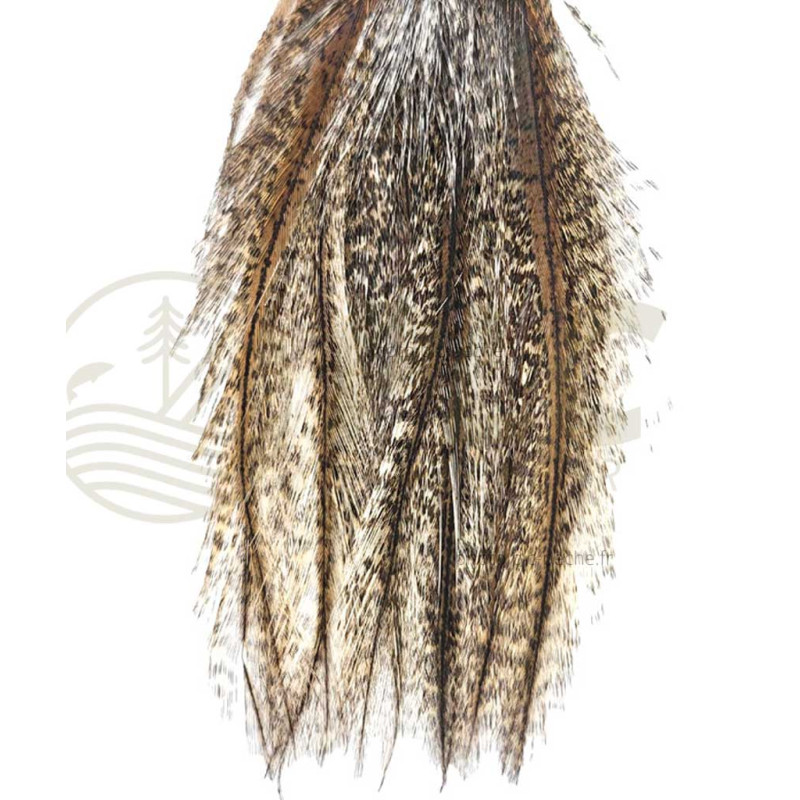 Pelle Pardo claire DEVAUX