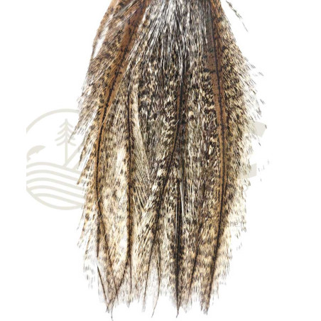 Pelle Pardo claire DEVAUX