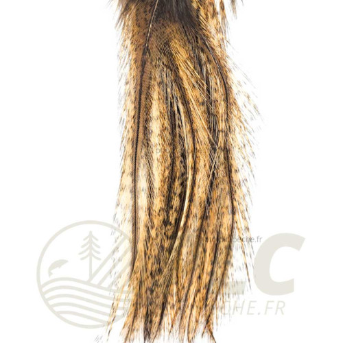 Pelle Pardo Badger DEVAUX