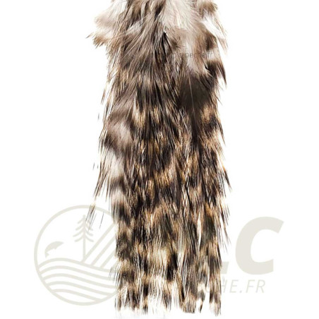 Pelle Pardo Grizzly DEVAUX