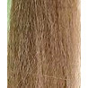 Giant Fiber DEVAUX Beige