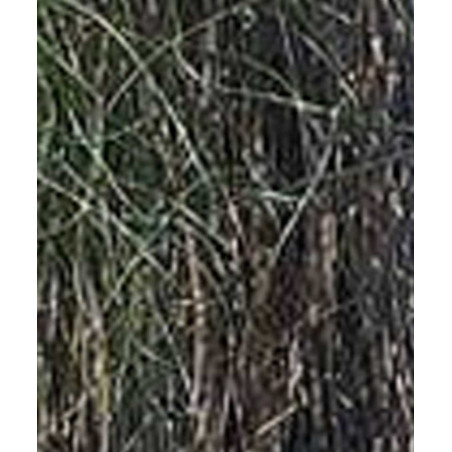 Hair Flash Minnow DEVAUX Paon