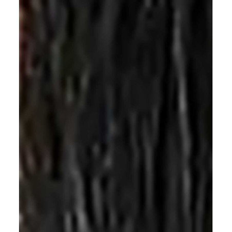 Iris Flash DEVAUX DEVAUX Noir