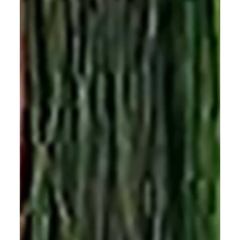 Iris Flash DEVAUX DEVAUX Paon