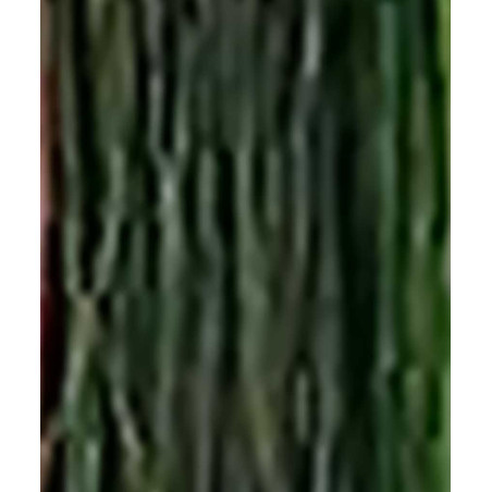 Iris Flash DEVAUX DEVAUX Paon