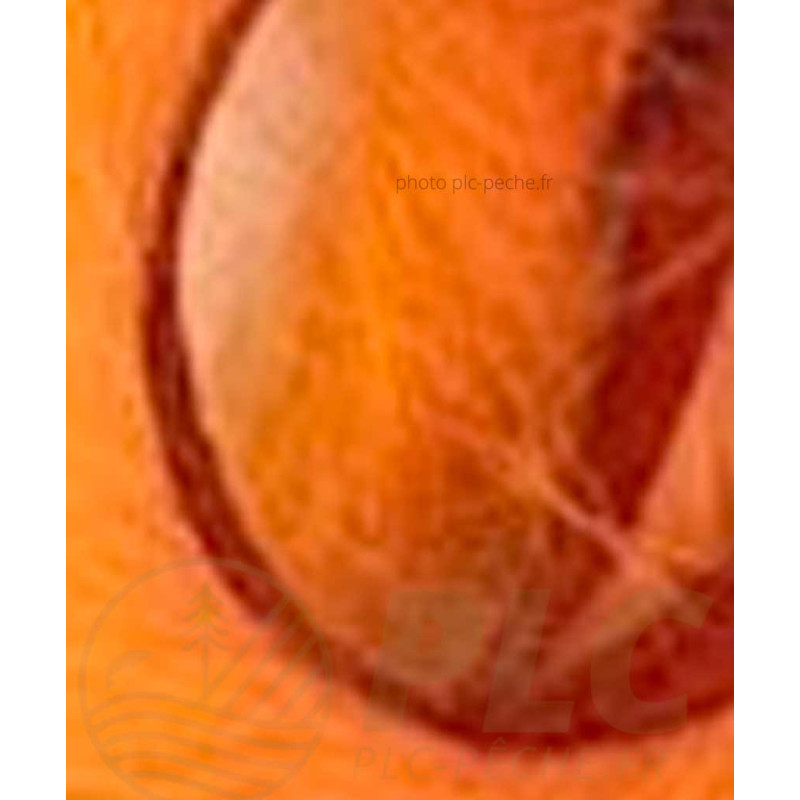 Zonker DEVAUX pêche