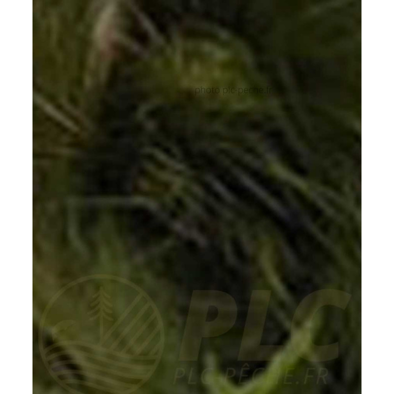 Zonker DEVAUX olive foncé