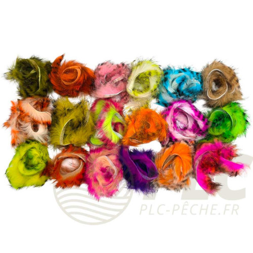 Zonker Zébré DEVAUX