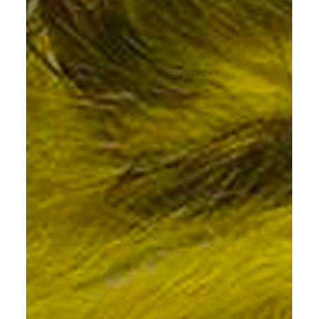 Zonker Zébré DEVAUX olive clair