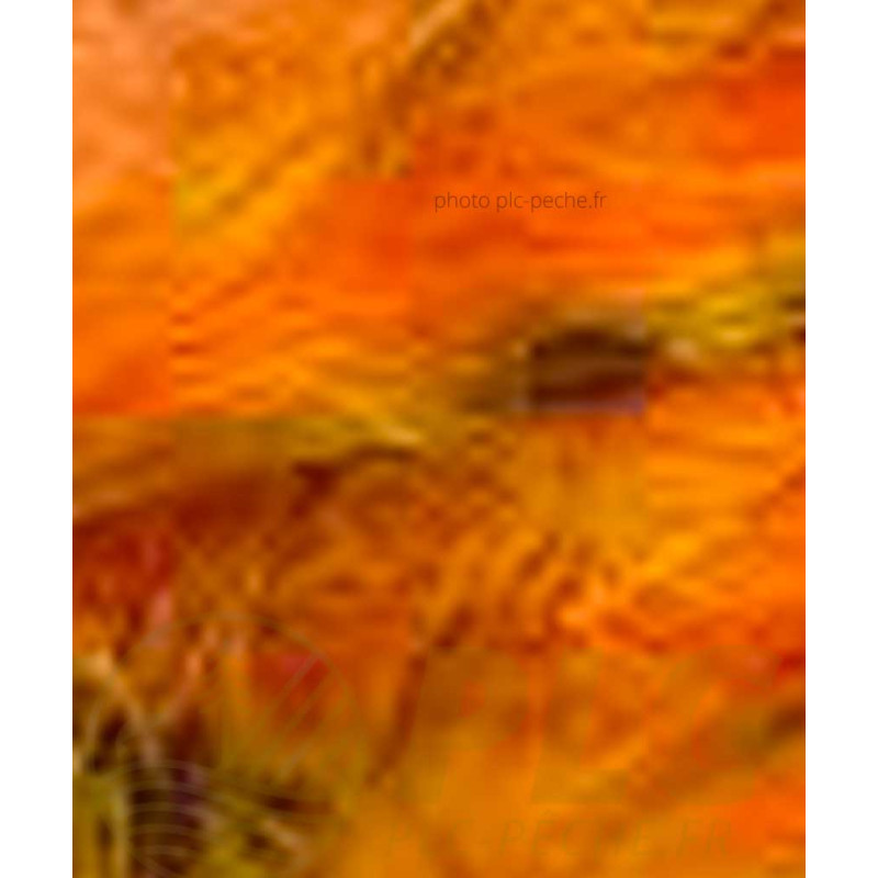 Zonker Zébré DEVAUX orange jaune