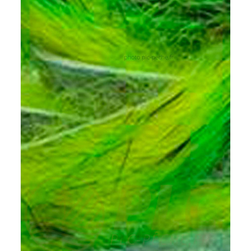 Zonker Zébré DEVAUX vert chartreuse