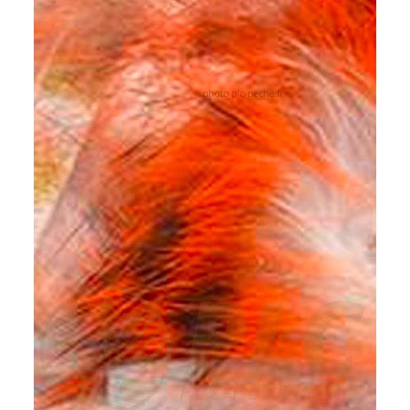 Zonker Zébré DEVAUX orange blanc