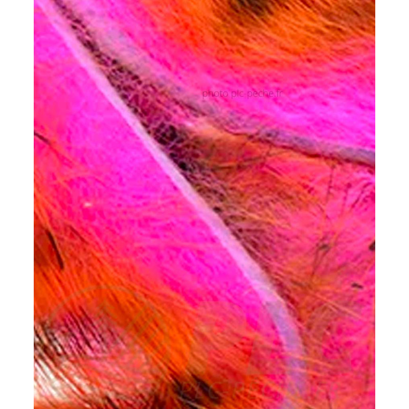 Zonker Zébré DEVAUX orange rose