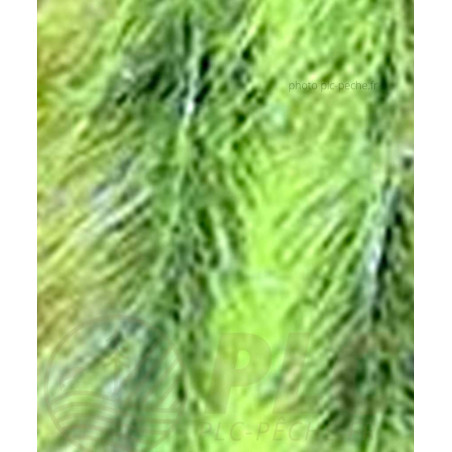 Stream Brush Bicolor DEVAUX chartreuse noir