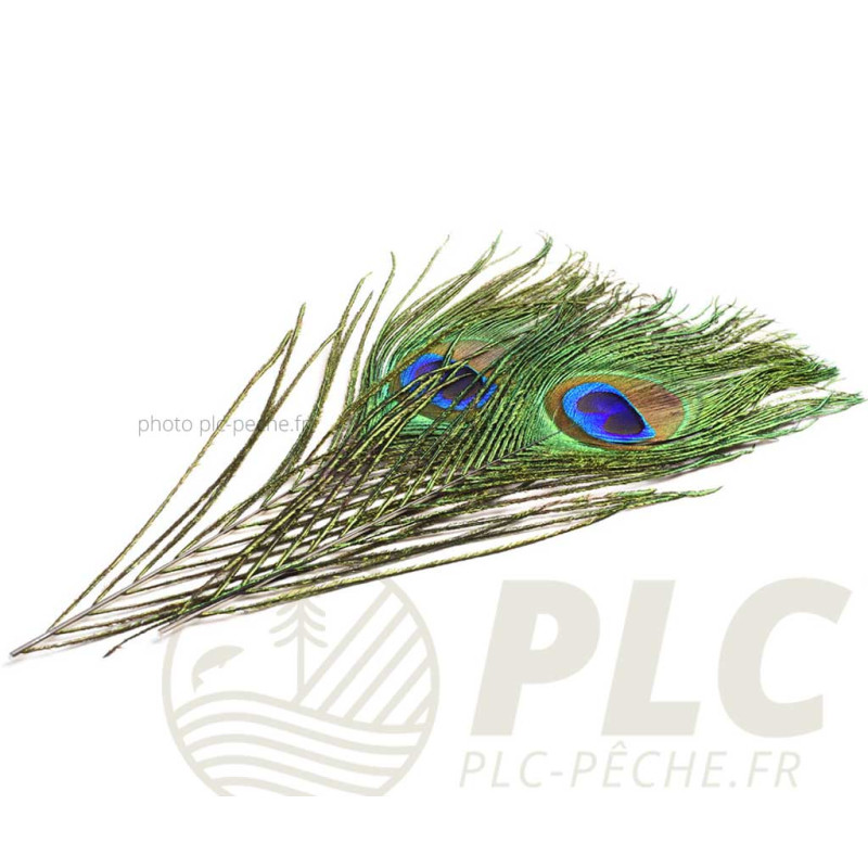 Oeil de Paon + Barbes DEVAUX