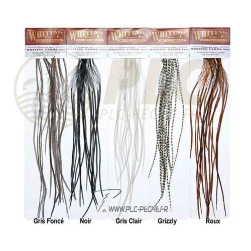 Plumes WHITING FARMS Microbarb Silver G2