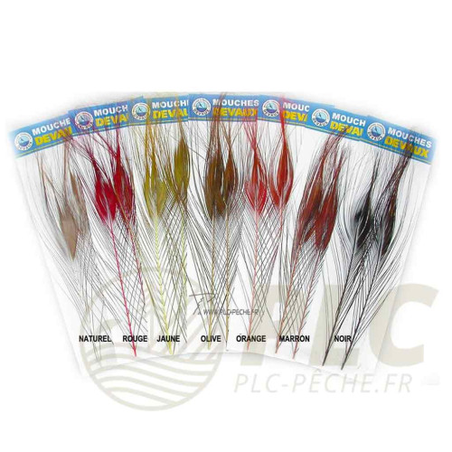 Quill de paon ébarbé teint DEVAUX