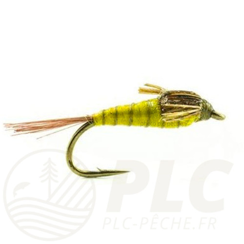 Nymphe Tung DEVAUX JBN 45