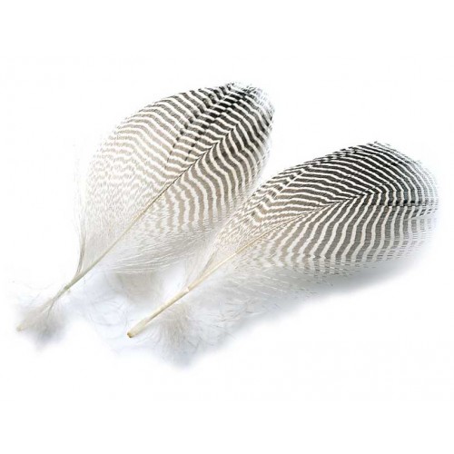 Teal flank (flanc de sarcelle) 2gr VENIARD